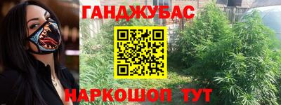 гашик Тверь