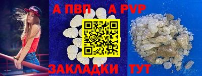 гашик Тверь